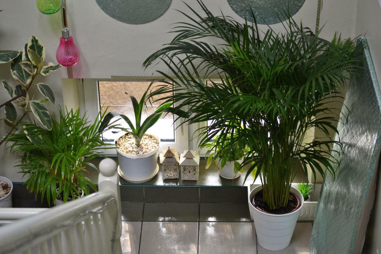 Ferienwohnung Akwarela I Krakau Exterior foto
